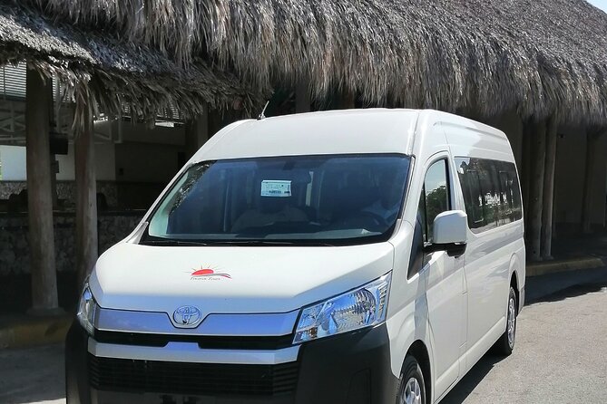 Punta Cana Airport To Uvero Alto Hotels (up to 50 km) - Meeting at Punta Cana Airport: The Part That Usually Saves Time