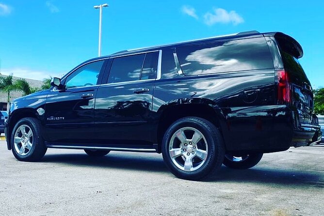 Punta Cana Airport Transfer Bavaro Suburban Trip - Who This Transfer Fits Best