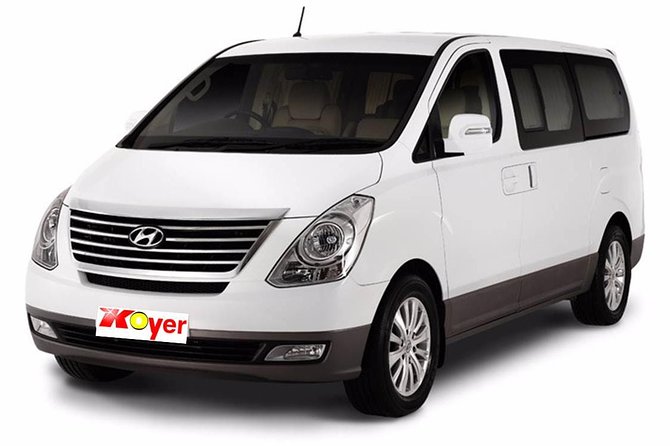 Punta Cana Airport Transfer Service - Luggage Help: Why Porter Service Makes the Difference