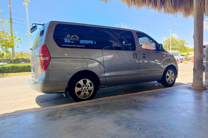 Punta Cana: Airport Transfer to Hotel In RD / Fast & Safe - How the pickup works at PUJ, and why it matters