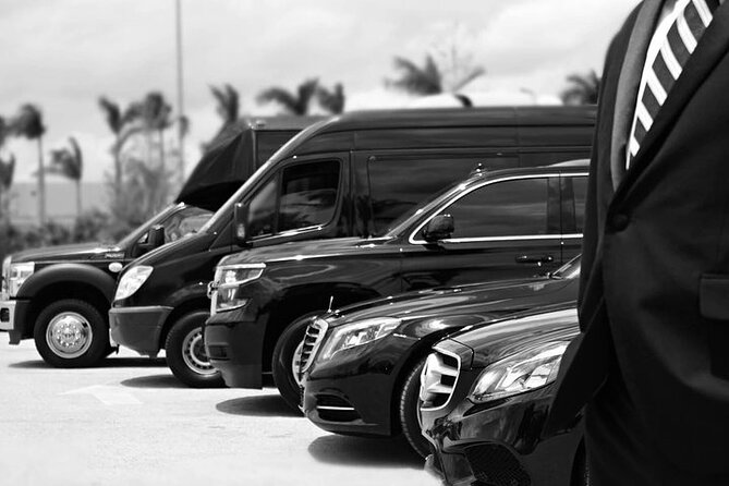 Punta Cana Airport Transfers - Flight monitoring and pickup timing, the real value
