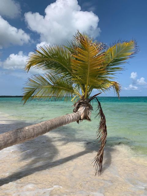 Punta Cana: All Inclusive Saona Island Experience - Playa Palmilla Natural Pool, Starfish, and Shallow-Water Magic