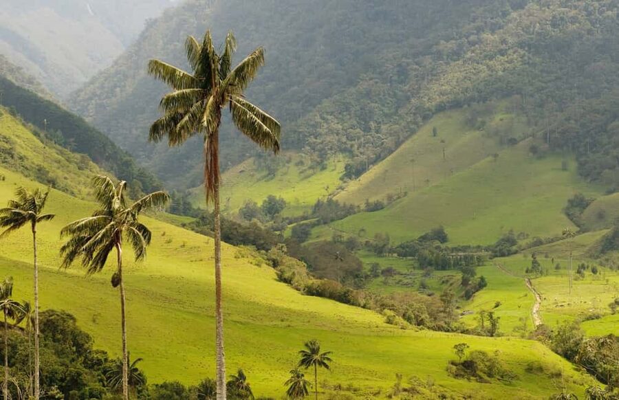 Punta Cana: Anamaya Mountains Walking Tour with Tasting - Key Highlights You’ll Actually Care About