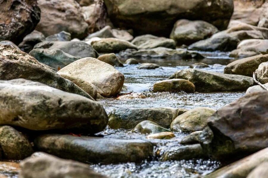 Punta Cana: Anamaya Mountains Walking Tour with Tasting - River Anamuya swim: the highlight, with the one big variable