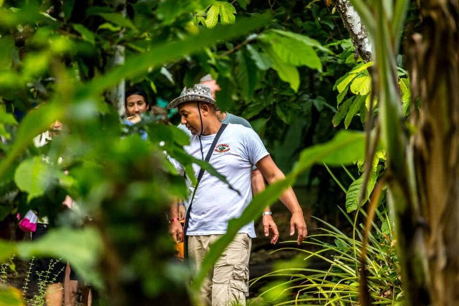 Punta Cana: Anamaya Mountains Walking Tour with Tasting - Pickup, pace, and why the group size matters