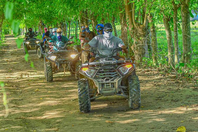 Punta Cana ATV Adventure Through Jungle Trails - Boogies Punta Cana Stop 2: Organic Tastings That Break Up the Ride