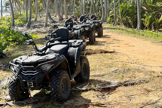 Punta Cana ATV: Jungle, Beach & River Small Group Tour - Timing at 1:30 pm and why weather matters