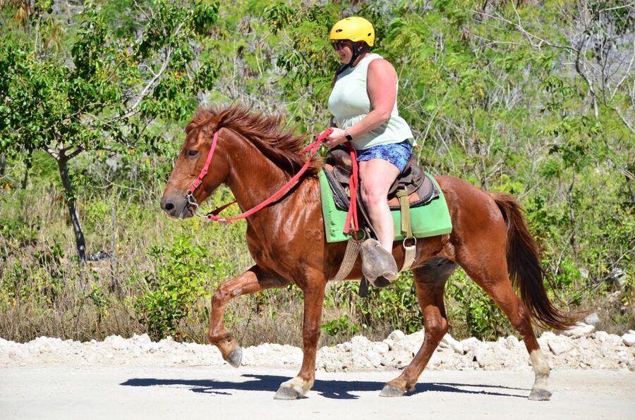Punta Cana: Bávaro Adventure Park Horse Riding & Waterfalls - Key things to know before you go