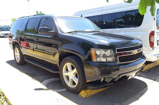 Punta Cana & Bávaro Private Transportation - Price and Value: Why $14.99 Can Make Sense