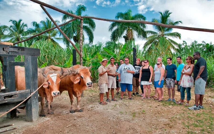 Punta Cana: Bavaro Runners Safari Tour - Key highlights to look for