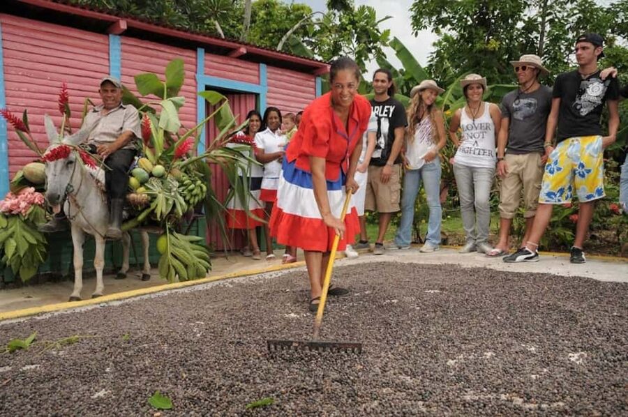 Punta Cana: Bavaro Runners Safari Tour - Cigar rollers: seeing locally grown tobacco become a hand-rolled cigar