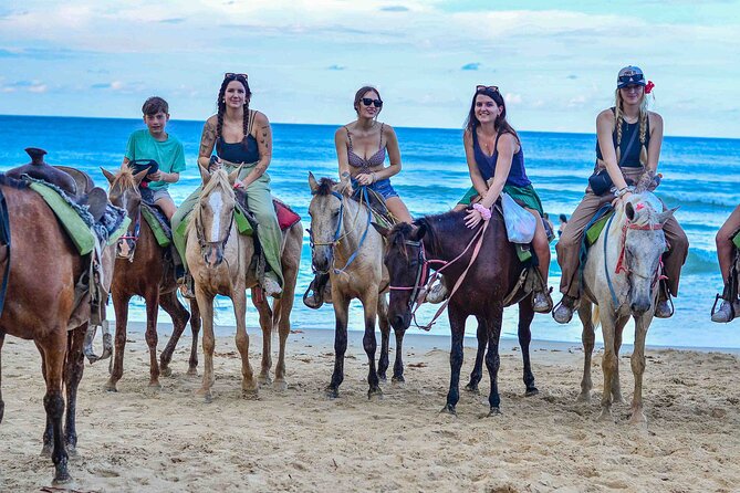 Punta Cana Beach Horseback Ride Paradise Coast Experience - Key Points Before You Go