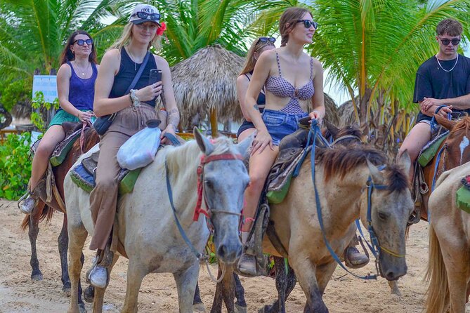 Punta Cana Beach Horseback Ride Paradise Coast Experience - The Main Event: A Quiet Beach Shoreline Walk