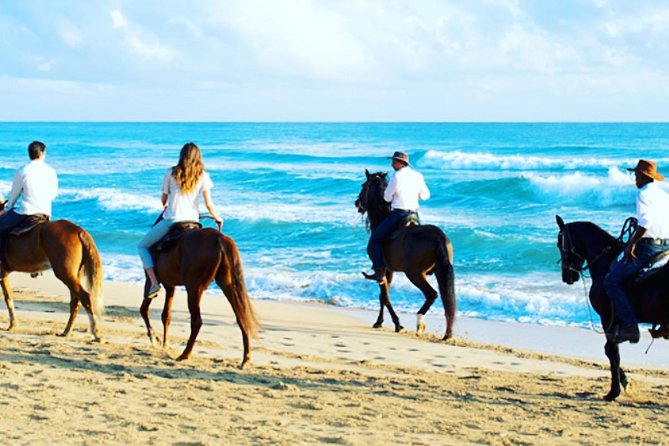Punta Cana Beach Horseback Riding - What you’re really buying in Punta Cana: beach time on a horse