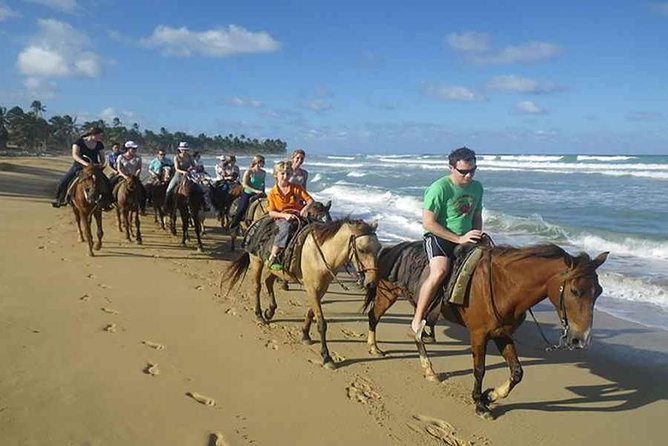 Punta Cana Beach Horseback Riding - Horse + guide pairing: what first-timers should expect
