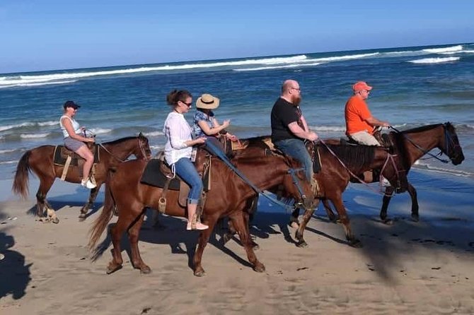 Punta Cana Beach Horseback Riding - Price and value: is $58 a fair deal for Punta Cana?