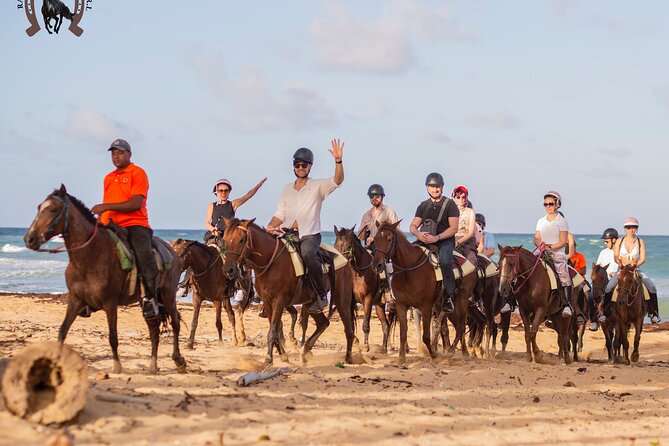Punta Cana Beach Horseback Riding - Who should book this Punta Cana horseback tour