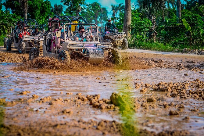 Punta cana Boogie into the Jungle with Coffee and Chocolate Taste - Macao Cave swimming: crystal-clear water with real “how did they find this” energy
