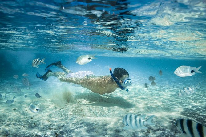 Punta Cana Booze Cruise with Snorkeling, Natural Pool & Open Bar - Key things to know before you go