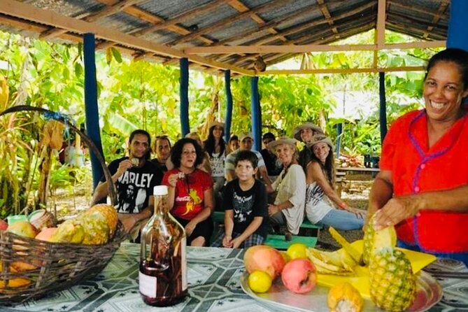 Punta Cana Buggy Adventure - Cenote swim and cacao learning: culture with a practical angle