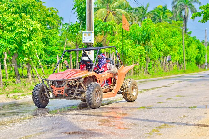 Punta Cana Buggy Adventure to Macao Beach with Taino Cave Swim - Dominican ranch tastings: coffee, cacao, and handmade cigars