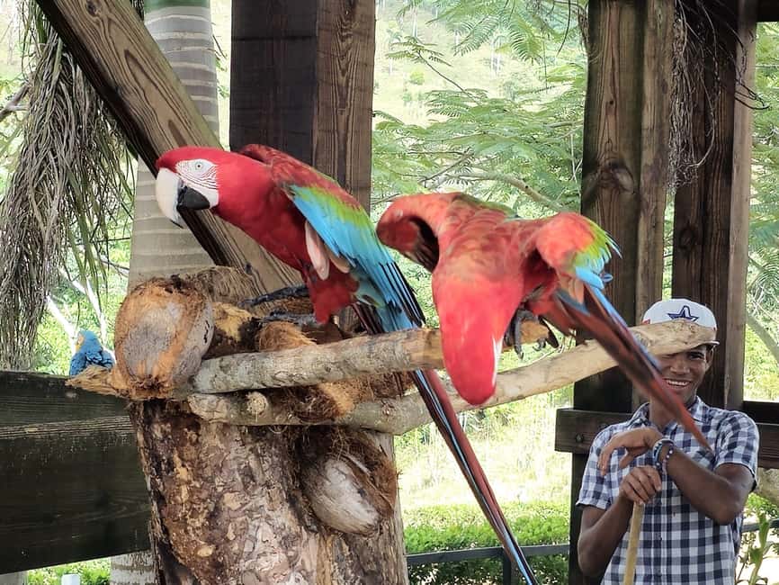 Punta Cana: Buggy and Zipline Adventure at La Hacienda - Key Things to Know Before You Go