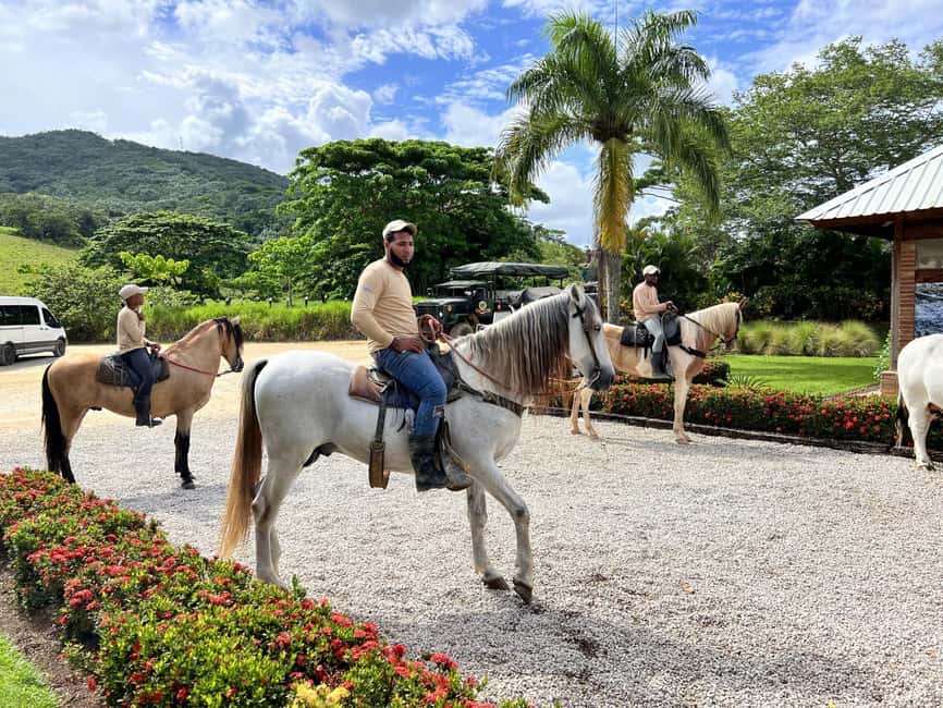 Punta Cana: Buggy and Zipline Adventure at La Hacienda - Zipline Over the Jungle: 2 Kilometers, High Speed, and Real Heights