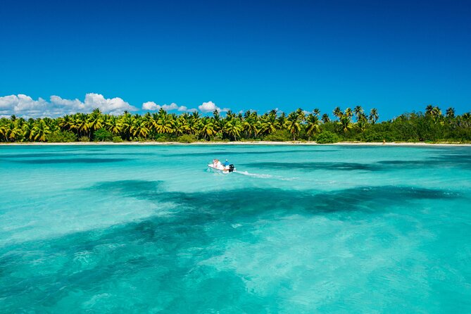 Punta Cana Catalina Island Catamaran Tour Package Deal - Key points to know before you go