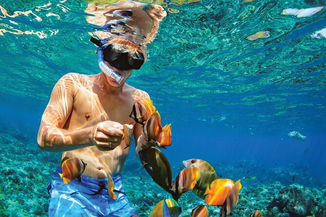 Punta Cana Catalina Island Catamaran Tour Package Deal - From Punta Cana to Isla Catalina: how the timing really works
