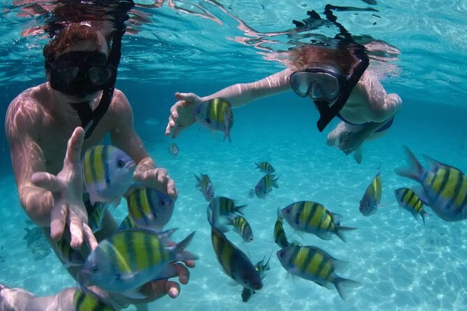 Punta Cana Catalina Island Catamaran Tour Package Deal - Who this tour fits well (and who should think twice)