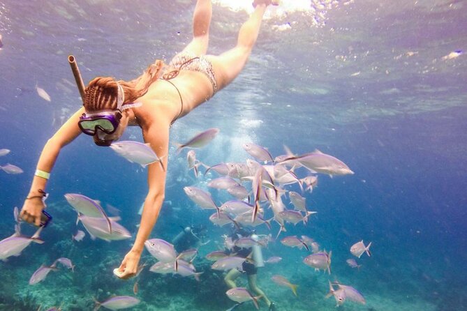 Punta Cana Catalina Island Catamaran Tour Package Deal - Hotel pickup and the sugarcane fields to La Romana