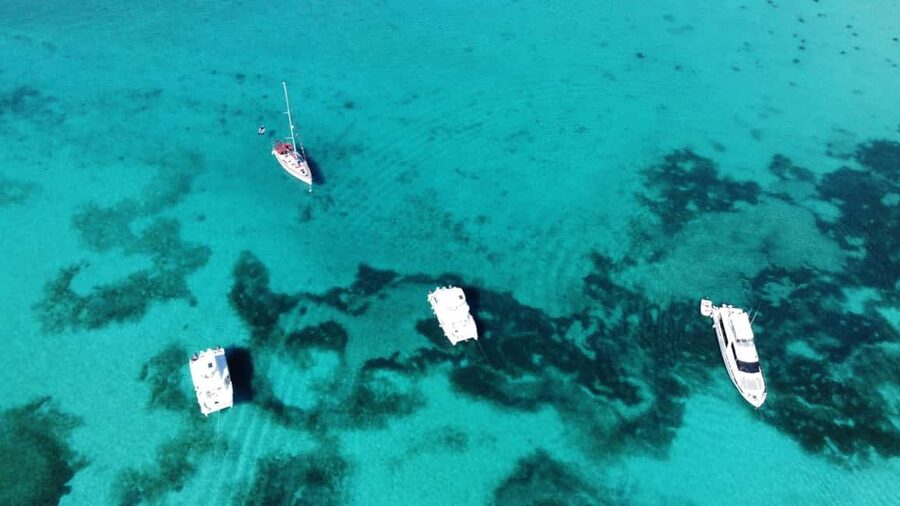 Punta Cana: Catalina Island Snorkeling and lunch Day Trip - Snorkeling at El Muro: what you’ll see and how to make it count