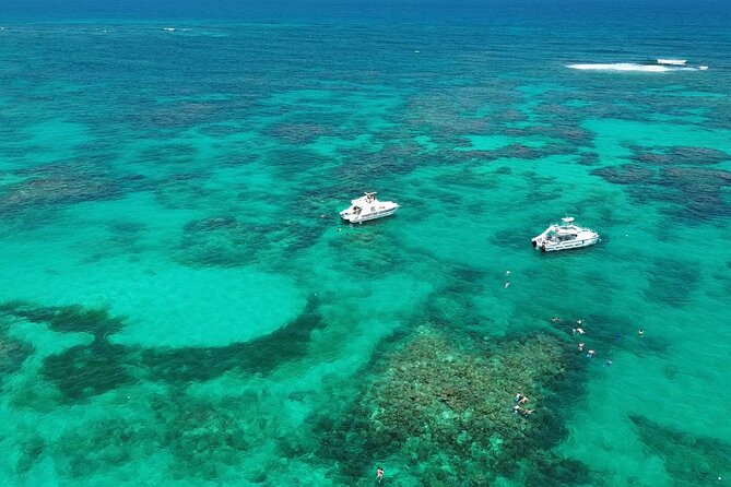 Punta Cana: Catamaran Tour, Reef Snorkeling and Unlimited Drinks! - Key Things to Know Before You Go