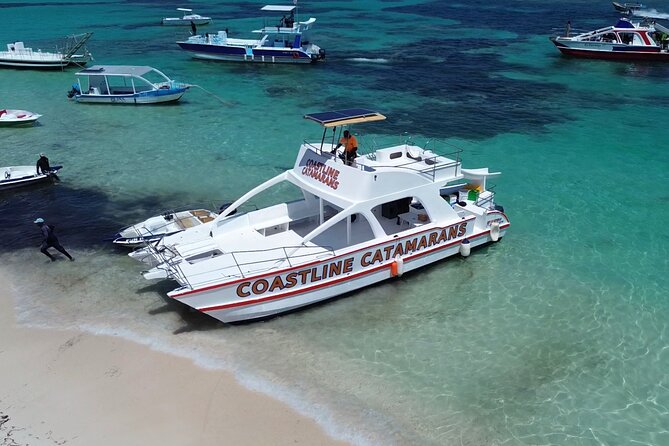 Punta Cana: Catamaran Tour, Reef Snorkeling and Unlimited Drinks! - Reef Snorkeling: How the Water Time Works