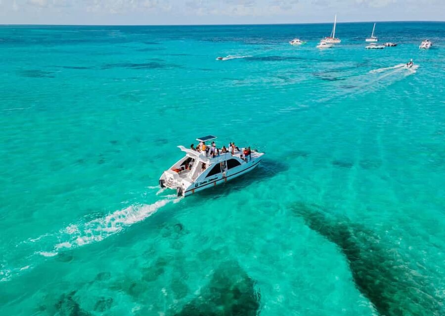 Punta Cana: Catamaran Tour with Reef Snorkeling and Open Bar - Crew That Drives the Day: Vanessa, Pablo, Jay, Carlos, and Chocolate