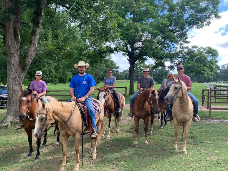 Punta Cana: Cayo Levantado & El Limon Waterfall Tour - Time, stamina, and the long ride factor