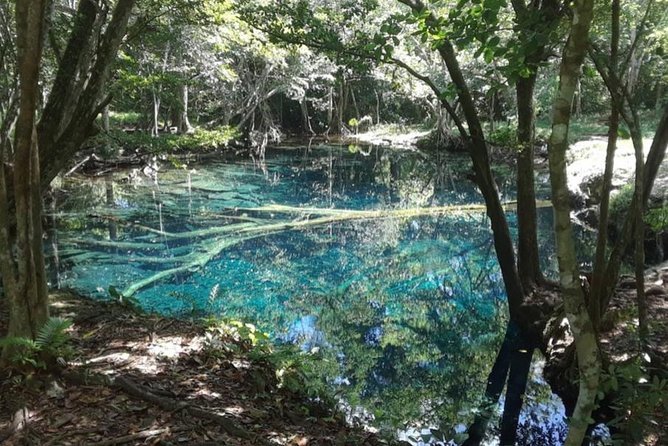 Punta Cana Cenote Hoyo Claro Hiking Tour + Juanillo Beach - The $90 value: private transport plus real inclusions
