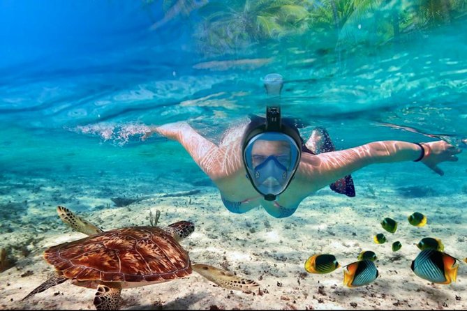 Punta Cana Combo Tour: Snorkeling, Catamaran Cruise & Parasailing - Who this tour suits best (and who should rethink it)