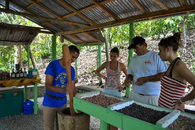 Punta Cana: Cultural half-day tours in the Dominican Republic - From Punta Cana Pickup to Higüey: The Pace You Should Expect