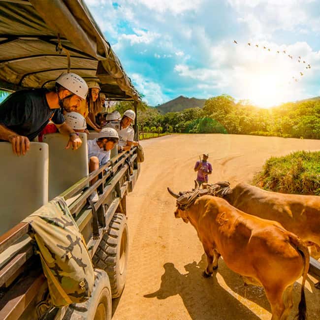 Punta Cana Cultural Tour History and Traditions Small Group - National market time in Higüey: where the smells and colors do the talking
