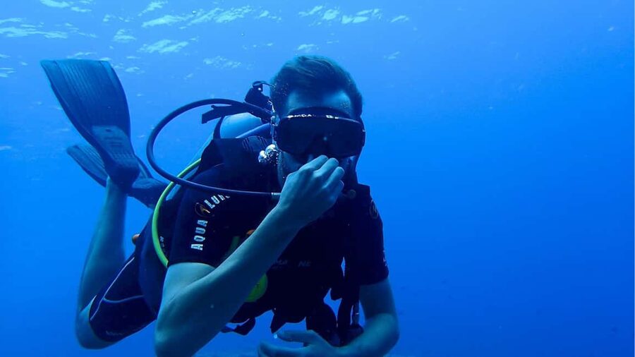 Punta Cana: Dive the Coral Paradise of Catalina Island - Getting from Punta Cana to Isla Catalina takes most of your day