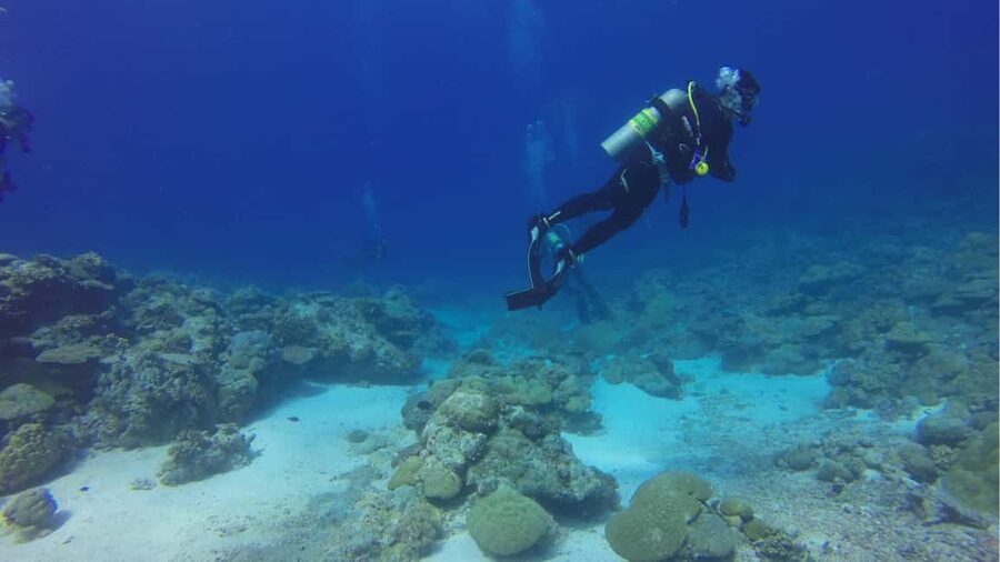 Punta Cana: Dive the Coral Paradise of Catalina Island - Who this tour is best for, and who should think twice