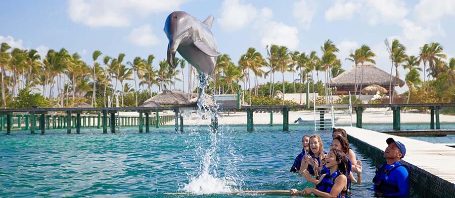 Punta Cana Dolphin Adventure: 40-Minute Interaction - FAQ