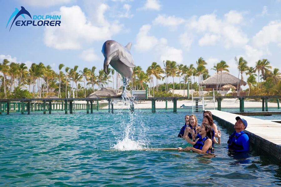 Punta Cana Dolphin Adventure: 40-Minute Interaction - Punta Cana Dolphin Adventure, What the 40-Minute Interaction Really Means