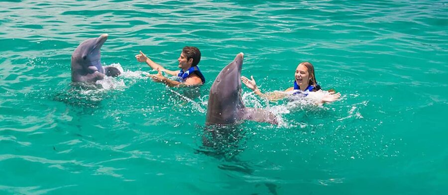 Punta Cana Dolphin Adventure: 40-Minute Interaction - Swimmer Levels: “All Abilities” Still Needs Realistic Expectations