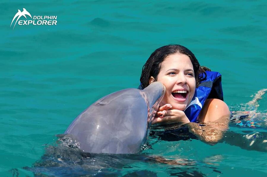 Punta Cana Dolphin Adventure: 40-Minute Interaction - Price and Value: Is $167 Fair for a 40-Minute Dolphin Session?