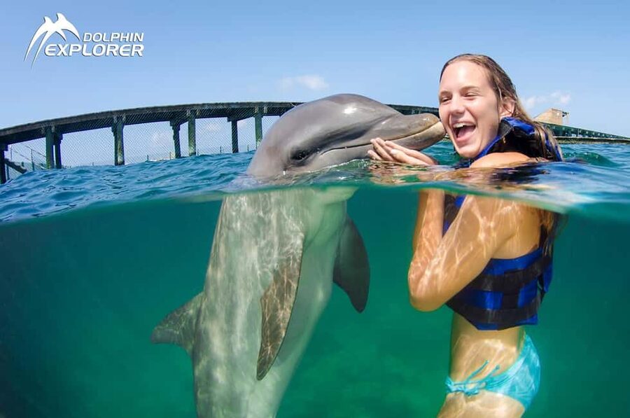 Punta Cana Dolphin Adventure: 40-Minute Interaction - From Pickup to Drop-Off: The 4-Hour Flow You Should Plan For