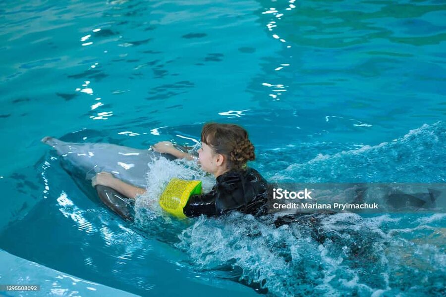Punta Cana: Dolphin Explorer Park Entry, Swim, or Encounter - Photo packages and the on-site upsell, how to handle it