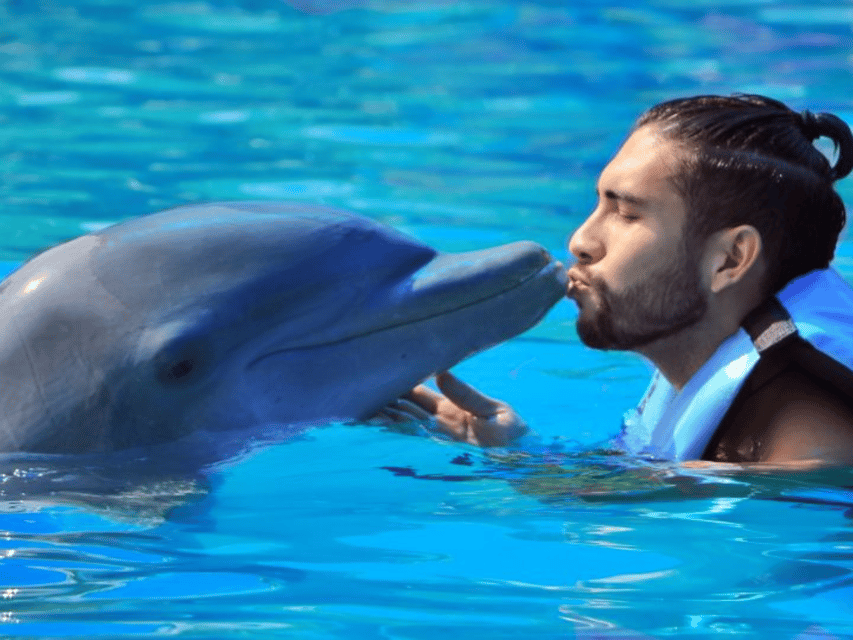Punta Cana: Dolphin Explorer Park Entry, Swim, or Encounter - Facilities you should care about: towel, bathrooms, and changing rooms