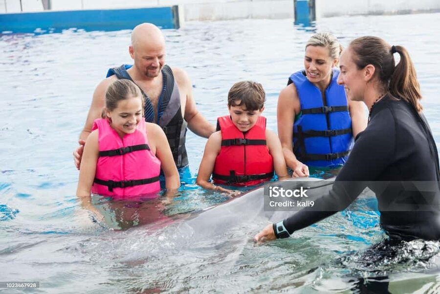 Punta Cana: Dolphin Explorer Park Entry, Swim, or Encounter - Value check for different travel styles